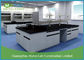 Multi Function ESD Worktop Modular Lab Benches With Sinks For Physical Laboratory